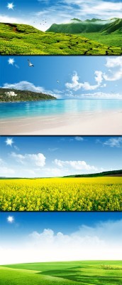 Flowering fields and summer beach in PSD
