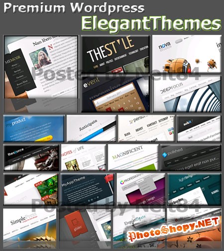 Template Premium of ElegantThemes Wordpress themes Collection New Pack 2011