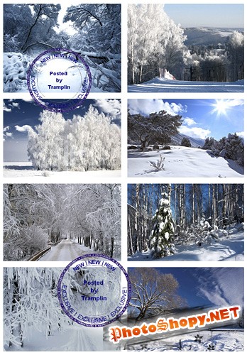 Зимние Пейзажи – Зима, лес, деревья