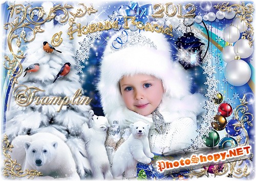 Новогодняя рамка для фото -  Снежная королева