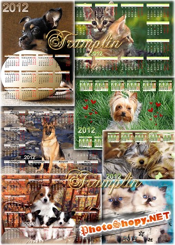 Сборник настенных календарей – Милые собаки и кошки