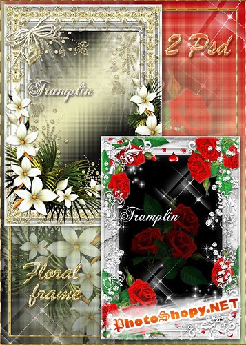 2 цветочные рамки Розы и Лилии – Жгучая и нежная
