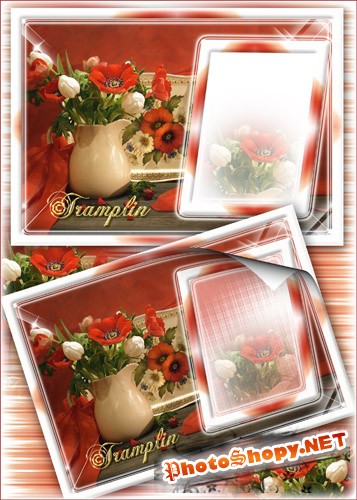 Цветочная рамка для фото – Маки и тюльпаны