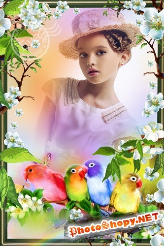 Детская рамочка для фотошопа - Красивые попугайчики