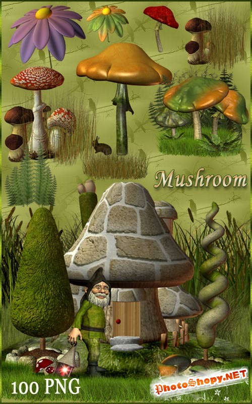 Клипарт - Цветы грибы и Гномы