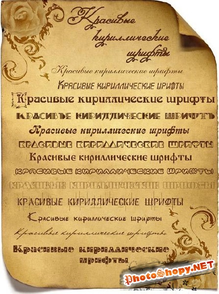 Set of 300 Cyrillic Fonts