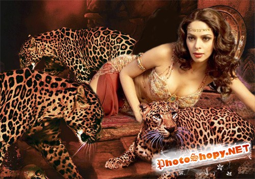 Женский шаблон для фотошопа - С леопардами