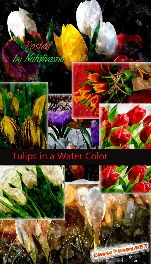 Фоны – Весенние тюльпаны