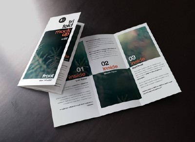 Trifold Mock-Up vol 2