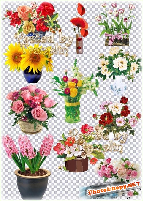 Клипарт на прозрачном фоне – Букеты цветов в вазах, корзинах, горшках