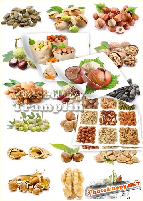 Растровый клипарт  -  Орехи, семечки, фисташки, листочки, миндаль, желуди