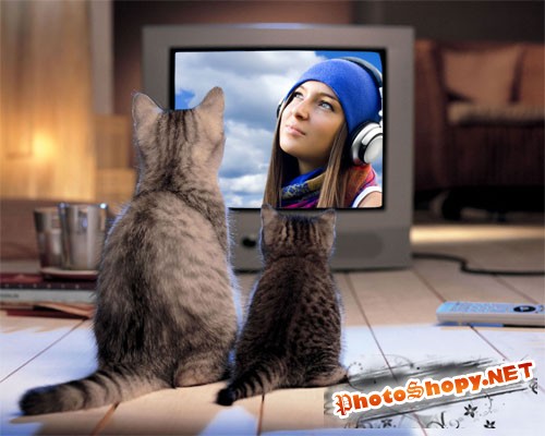 Рамка для фотошопа - Славные 2 котика сидя у экрана
