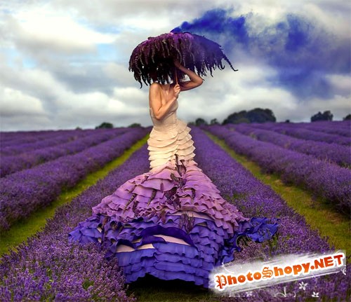 Шаблон для фото - Женщина в прекрасном поле из лаванды