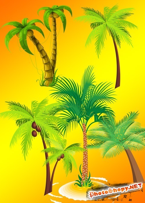 Коллекция высококачественного клипарта - Векторные пальмы