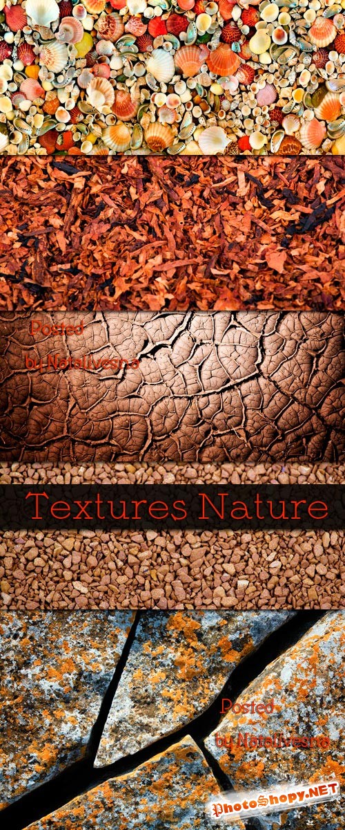 Природные текстуры / Textures Nature
