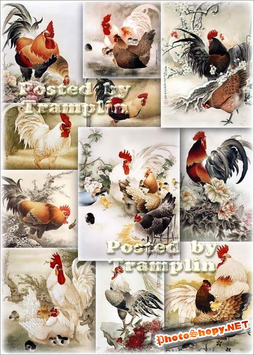 Китайская живопись – Петухи, куры, цыплята