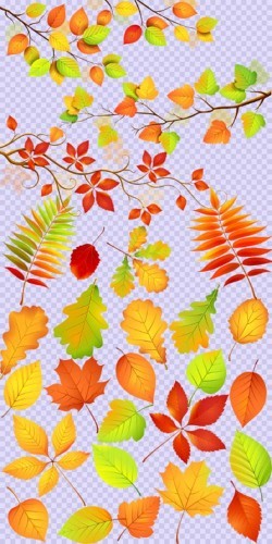 Клипарт - Осенние листочки с осенними веточками PSD прозрачный фон