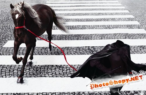  Шаблон для фотошопа - Прогулка с шикарной лошадью в каменных джунглях 