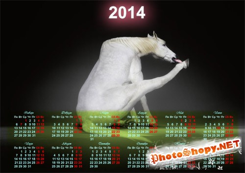 Красивый календарь - Прикольная белая лошадка