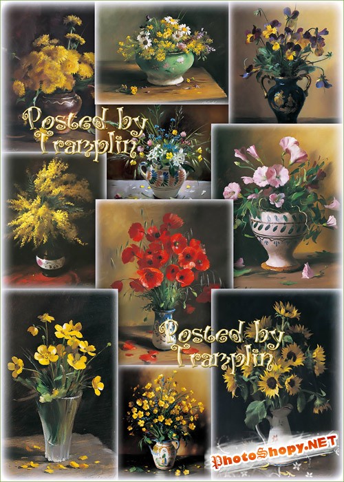 Полевые цветы в вазах -  Тутунов Сергей