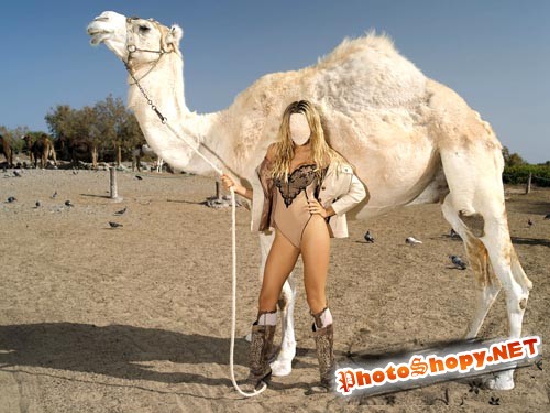Шаблон для фото - Симпатичная девушка с белым верблюдом