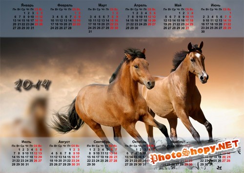  Календарь - Пара шикарных лошадей 