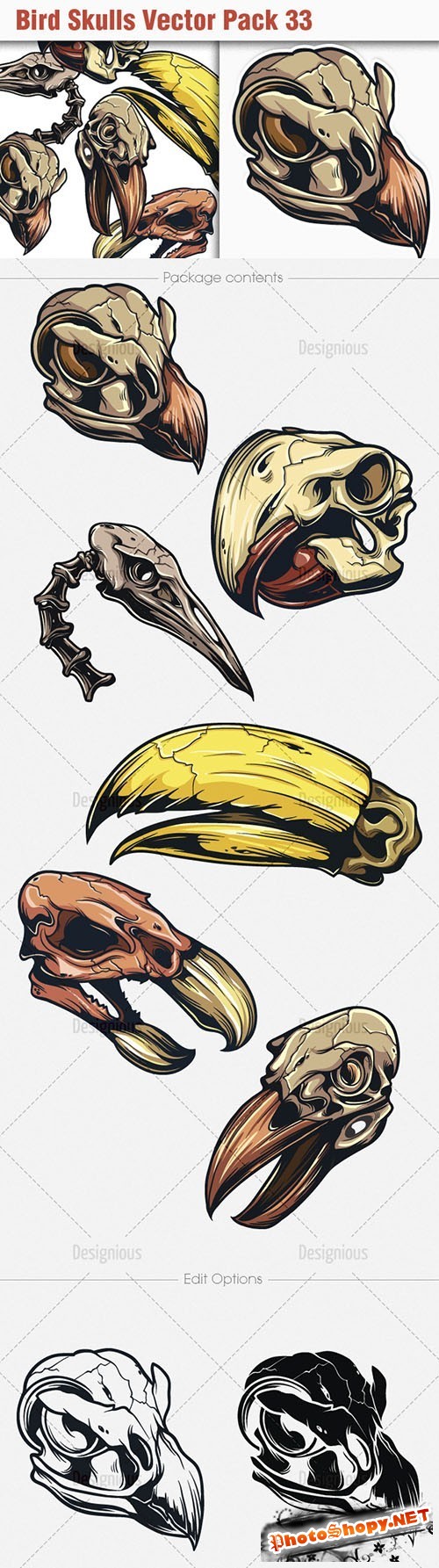 Bird Skulls Vector Illustrations Pack 33