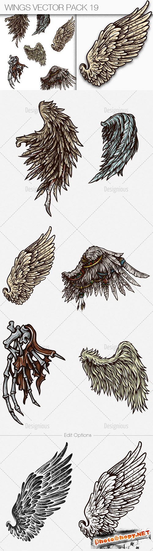 Wings Vector Illustrations Pack 19