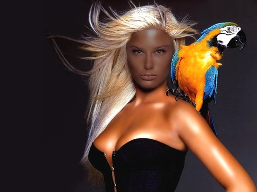 Шаблон женский - Фотосессия с ярким попугаем