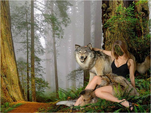 Шаблон женский - В обнимку с волком