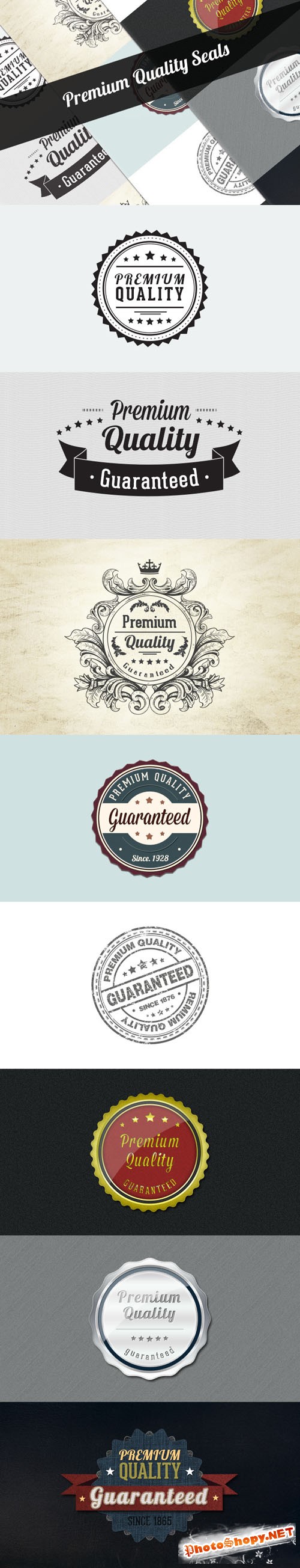 Designtnt - Premium Quality Seals