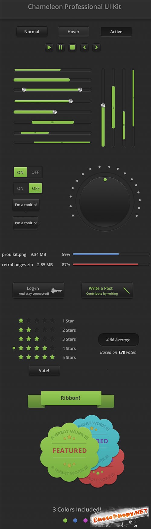 Chameleon Professional User Interface PSD Template