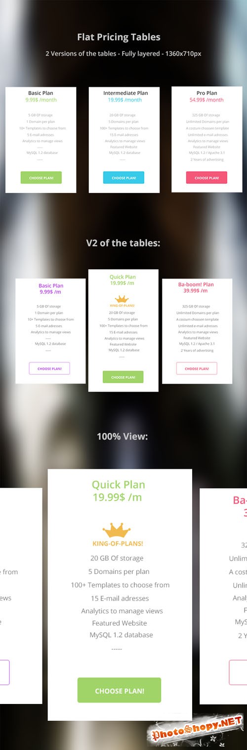 Flat Pricing Tables PSD Template