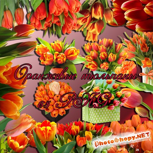 Клипарт - Оранжевые тюльпаны