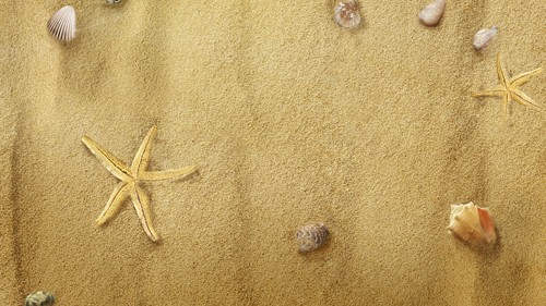 Starfish on Sand PSD