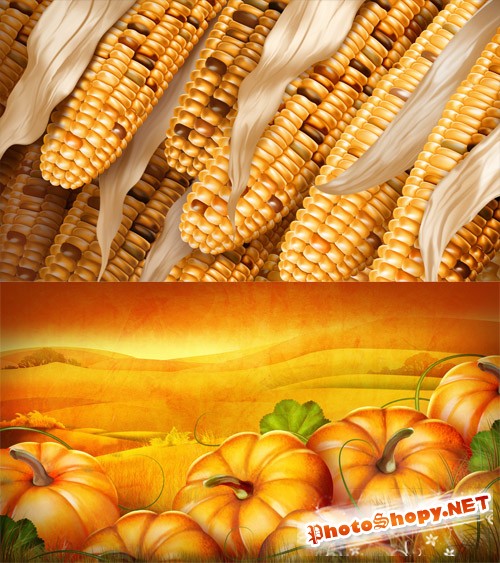 Corn Rows and Pumpkin Patch PSD