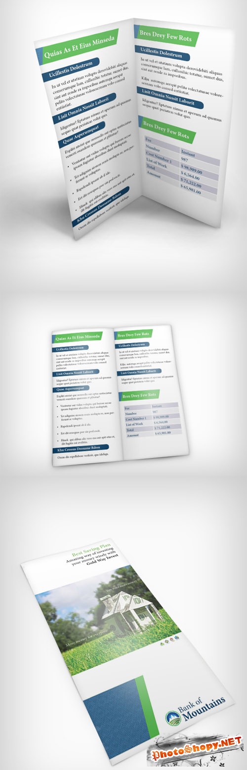 2 Pages Brochures Mock up Templates PSD
