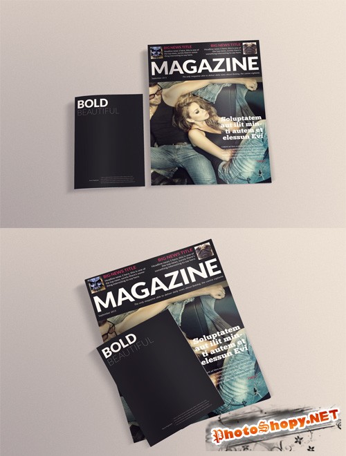 A4 and A5 Magazines Mock up PSD