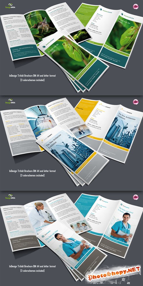 CreativeMarket - Flexible Trifold Brochure / 3 Colors