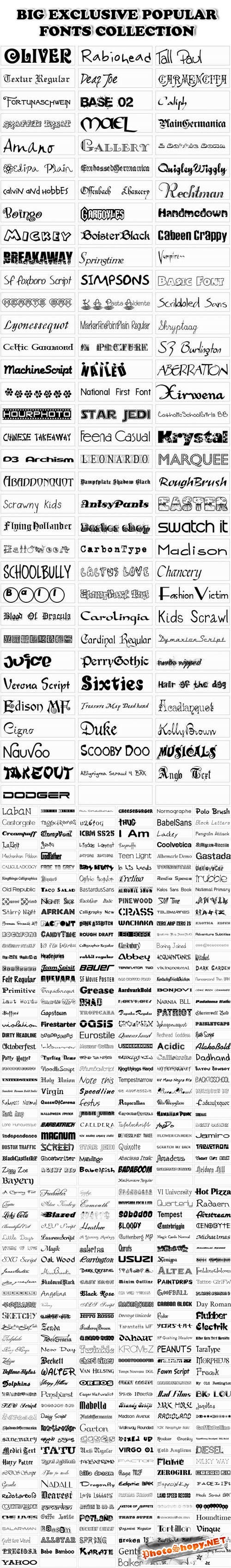 Big Exclusive Collection Popular Fonts