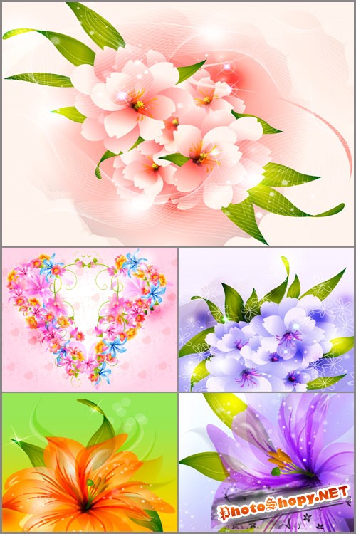 Набор цветочных фонов в векторе 3