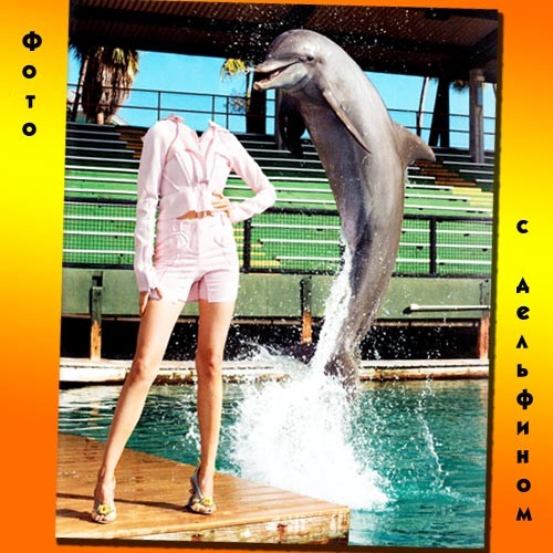 Фото с дельфином - Шаблон для Photoshop
