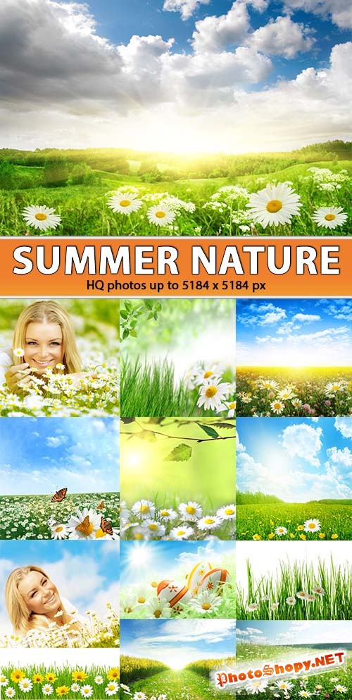 Летняя природа - зеленая трава и ромашки (ultra HQ photos)