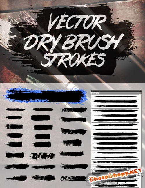 24 Vector Dry Brush Stroke Illustrator Brushes