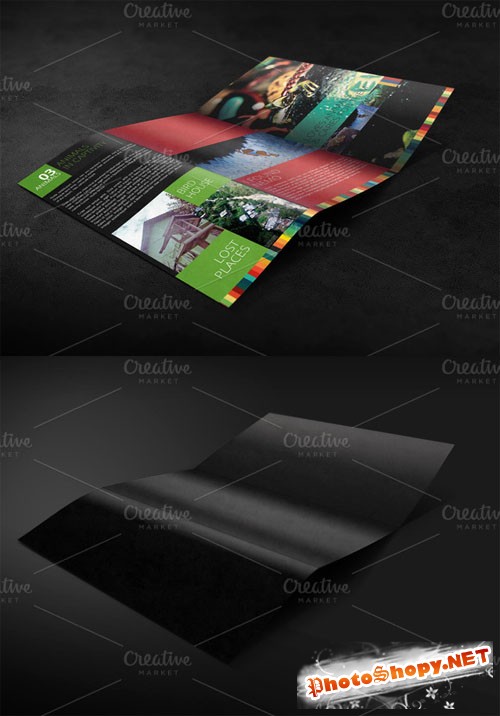 CreativeMarket 1421 - Tri Fold Brochure Mockup 05