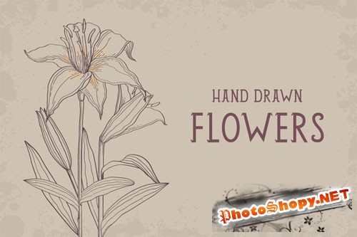 CreativeMarket - Hand drawn flowers set 39652