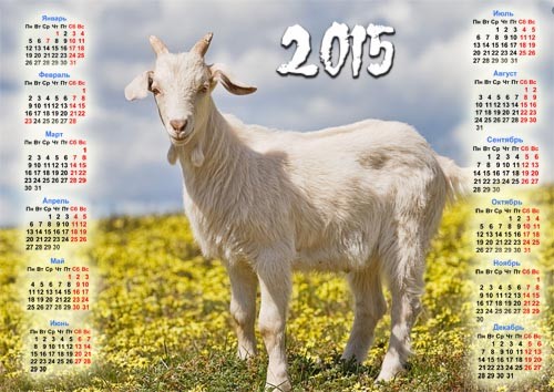 Календарь 2015 - Коза на поле