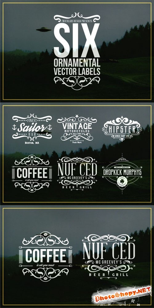 CreativeMarket - 6 Ornamental Vector Labels