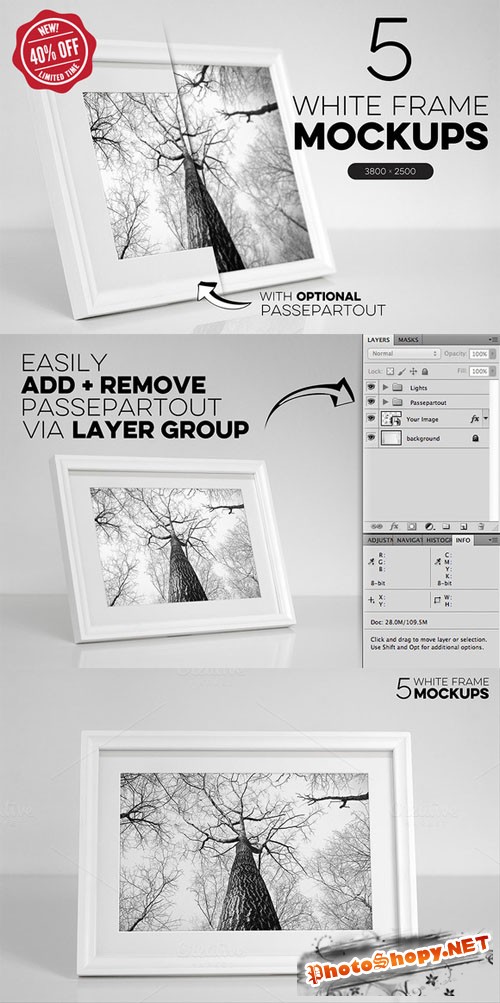 CreativeMarket - Bundle of 5 White Frame Mockups