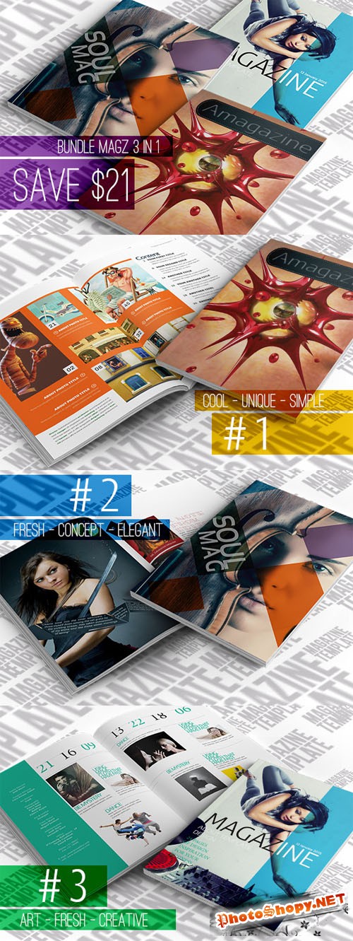 CreativeMarket - Bundle Magazine 3 IN 1